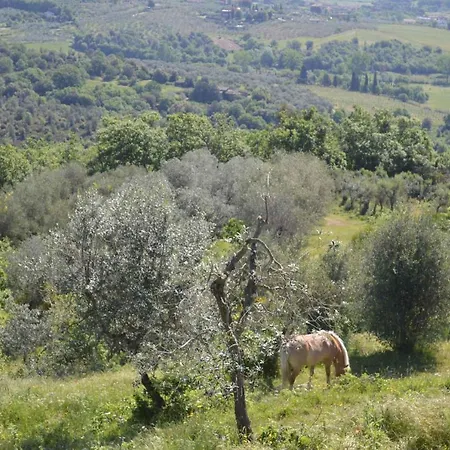 In - Toskana 39940 Holiday home Arezzo